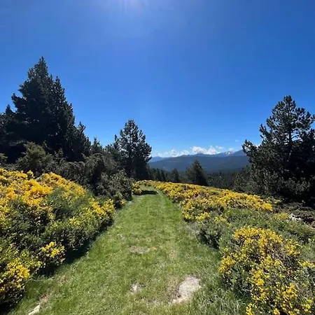 Cosy Au Pied Des Pistes Avec Vue Panoramique ! Appartamento Les Angles (Pyrenees-Orientales)