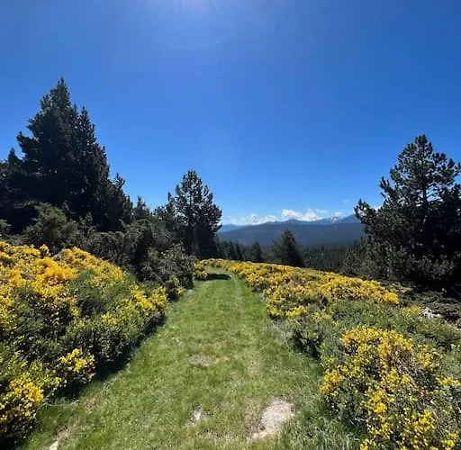 Cosy Au Pied Des Pistes Avec Vue Panoramique ! Lejlighed Les Angles (Pyrenees-Orientales)